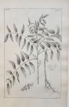 60494CB