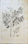 78863E