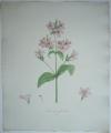 84915EB